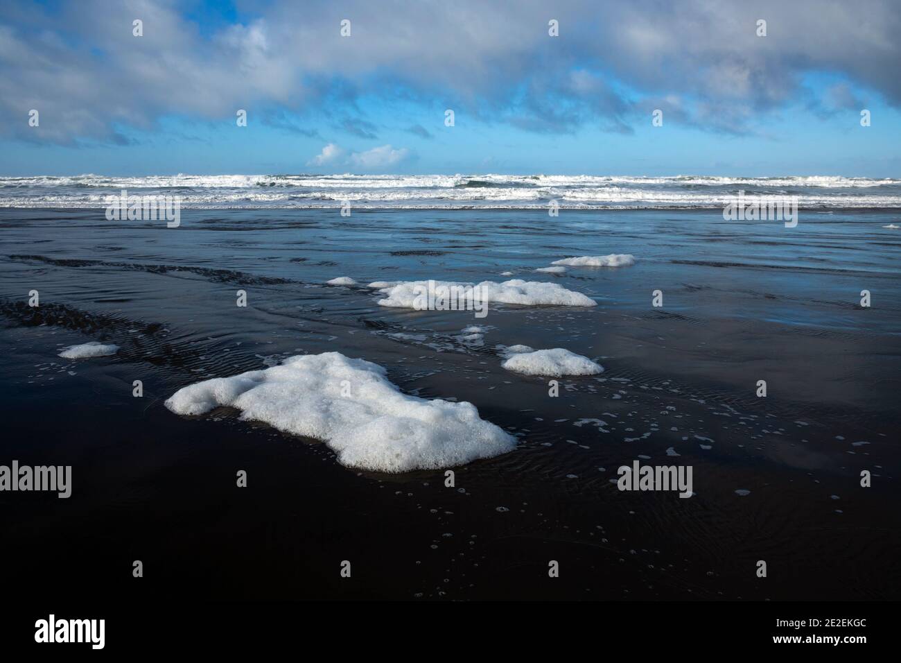 WA19117-00...WASHINGTON - Meeresschaum nach einem Sturm am Vortag nach Long Beach gewaschen. Stockfoto