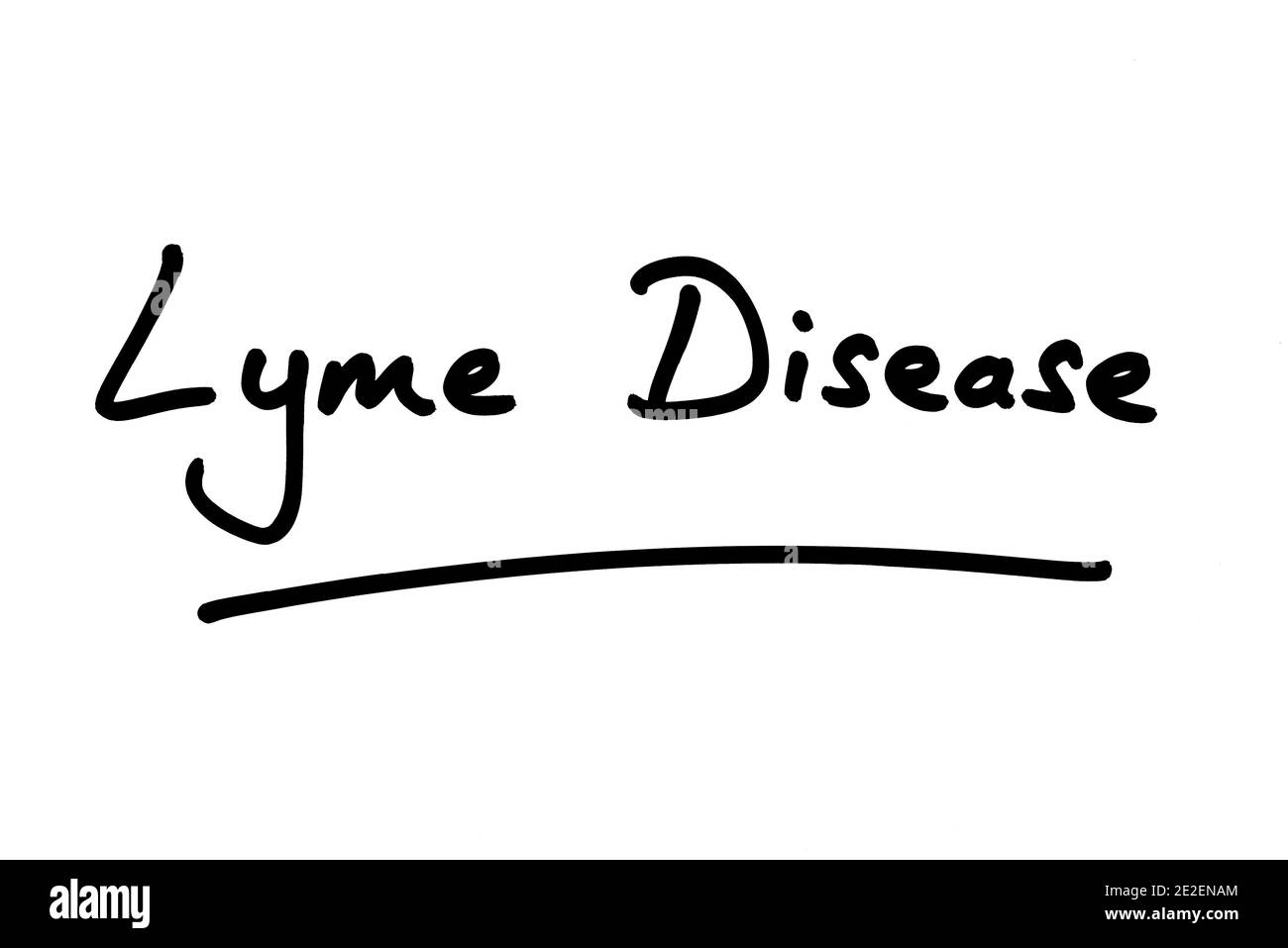 Lyme-Borreliose, handgeschrieben auf weißem Hintergrund. Stockfoto