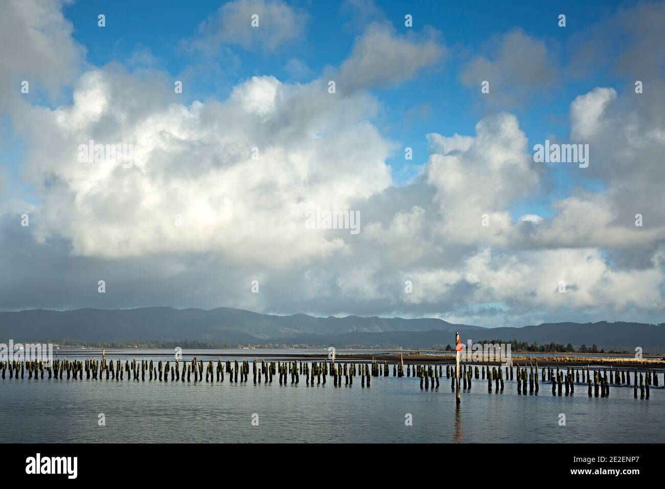 WA19141-00...WASHINGTON - Linien von alten Pylonen für die Aufbewahrung von Protokollen warten auf Versand Linie Baker Bay auf dem Columbia River, von Cape enttäuschen gesehen Stockfoto