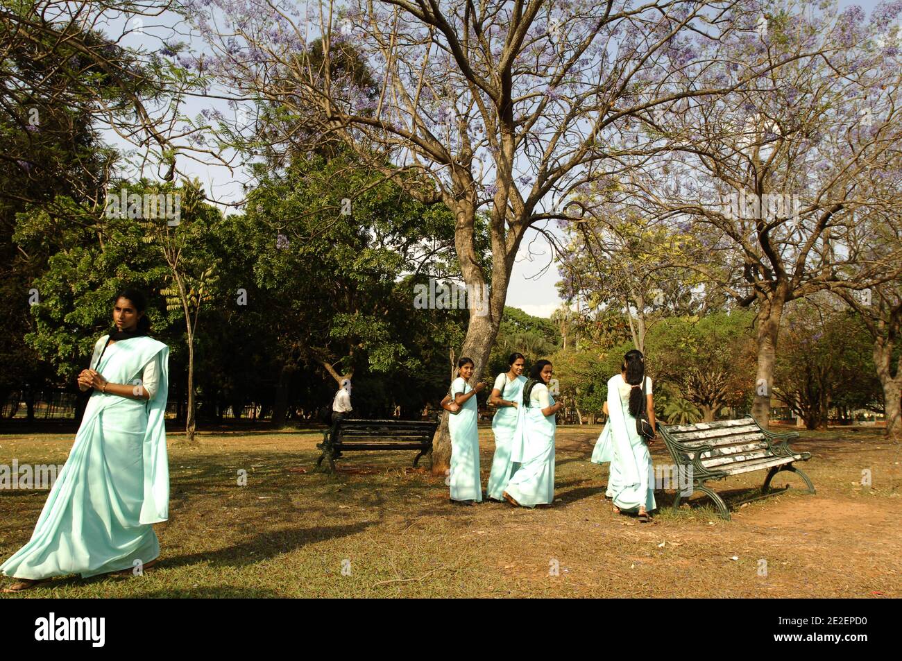 Lalbagh Botanical Garden, Bangalore, Indien, März 2008.angelegt von Haider Ali im Jahr 1740. Auf 97 ha Parkland verteilt, wurden viele seiner tropischen Pflanzen von Haider Alis Sohn Tipu Sultan hierher gebracht. Später importierte John Cameron, der Garden's Superintendent in den 1870er Jahren, einige weitere seltene Arten aus Kew Gardens in London. Jardin botanique Lalbagh, Bangalore, Inde, märz 2008. Amenage par Haider Ali en 1740. Reparti sur 97 ha de Parc, beaucoup de ses plantes tropicales ont ete amenees par le Sultan Haider Ali fils Tipu. Außerdem John Cameron, Surintendant du Jardin dans les annees 1870, importa Stockfoto