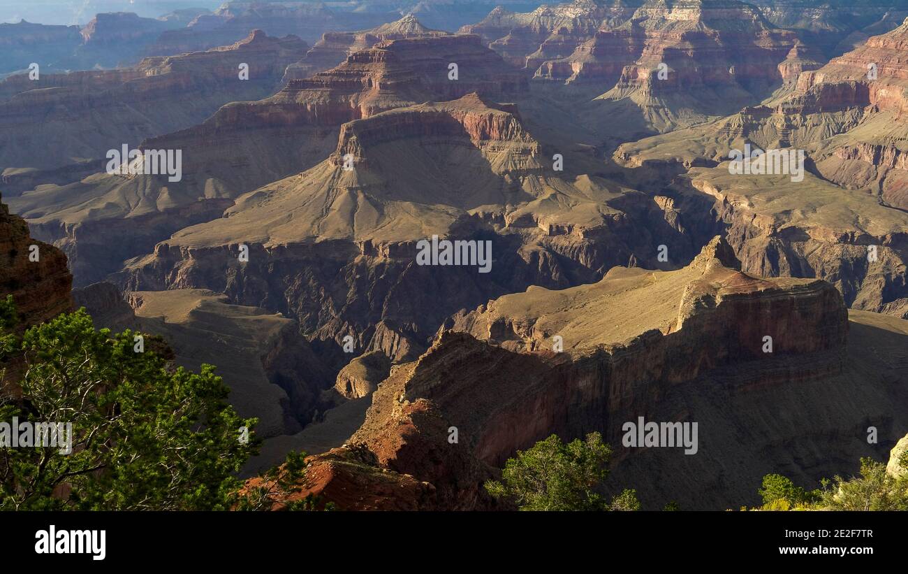 Nachmittagsaufnahme vom powell Point des Grand Canyon National Park in arizona, usa Stockfoto