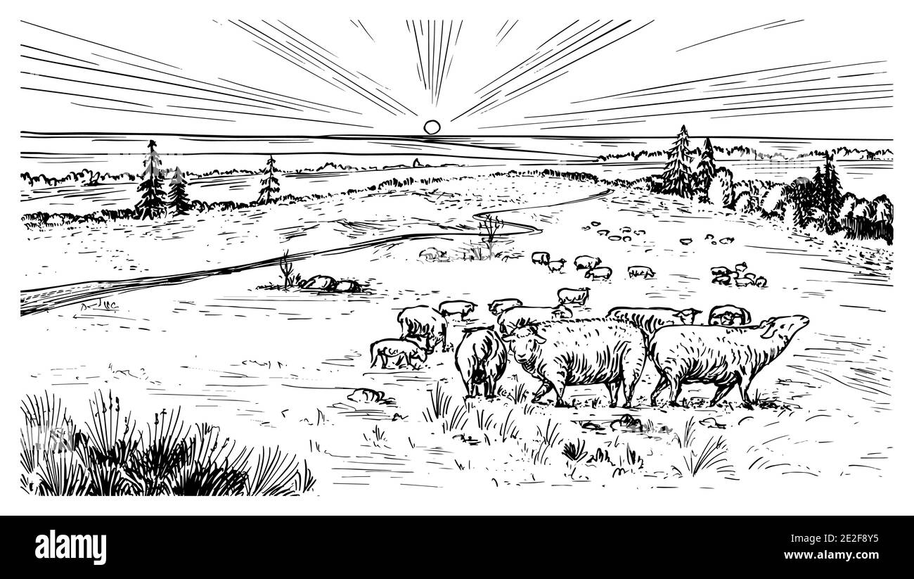 Ländliche Wiese. Eine Dorflandschaft mit Schafen, Hügeln und einem Bauernhof. Sonniger landschaftlicher Blick. Handgezeichnete gravierte Skizze. Vintage rustikalen Banner für Stock Vektor