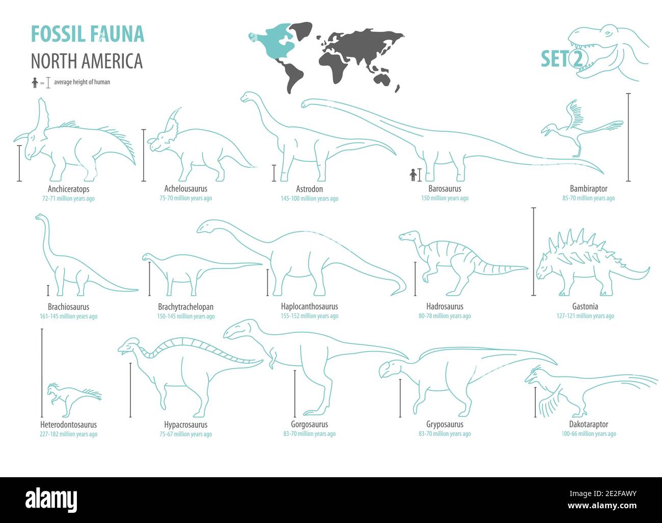 Fossile Fauna Nordamerikas. Ausgestorbene Dinosaurier Kreidezeit, Jurassische Zeit. Einfacher Linienentwurf Vektor-Symbolsatz Stock Vektor