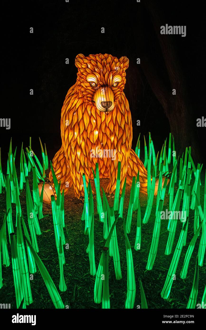 Bear Zoo Light Display Stockfoto