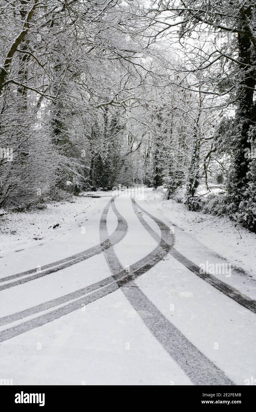 Schneebedeckte, von Bäumen gesäumte Straße im Dezember. Nahe Upper Slaughter, Cotswolds, Gloucestershire, England Stockfoto