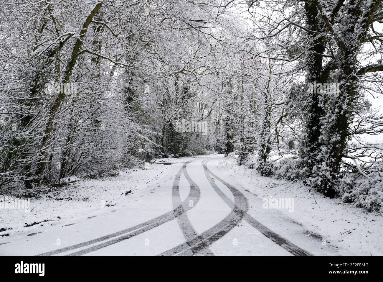 Schneebedeckte, von Bäumen gesäumte Straße im Dezember. Nahe Upper Slaughter, Cotswolds, Gloucestershire, England Stockfoto