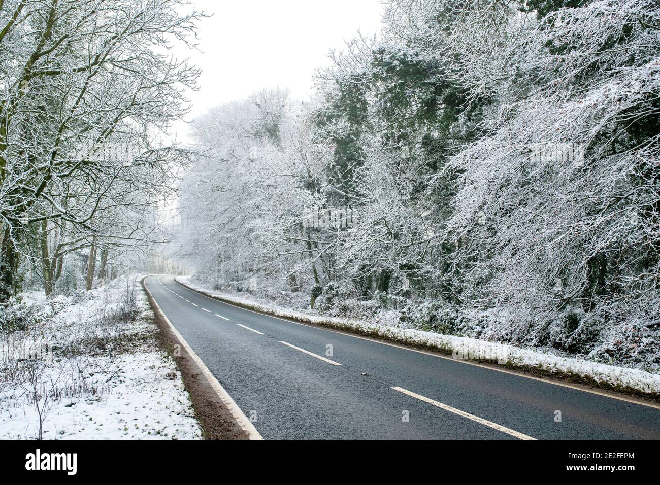 Schneebedeckte, von Bäumen gesäumte Straße im Dezember. In Der Nähe Von Chipping Campden, Cotswolds, Gloucestershire, England Stockfoto