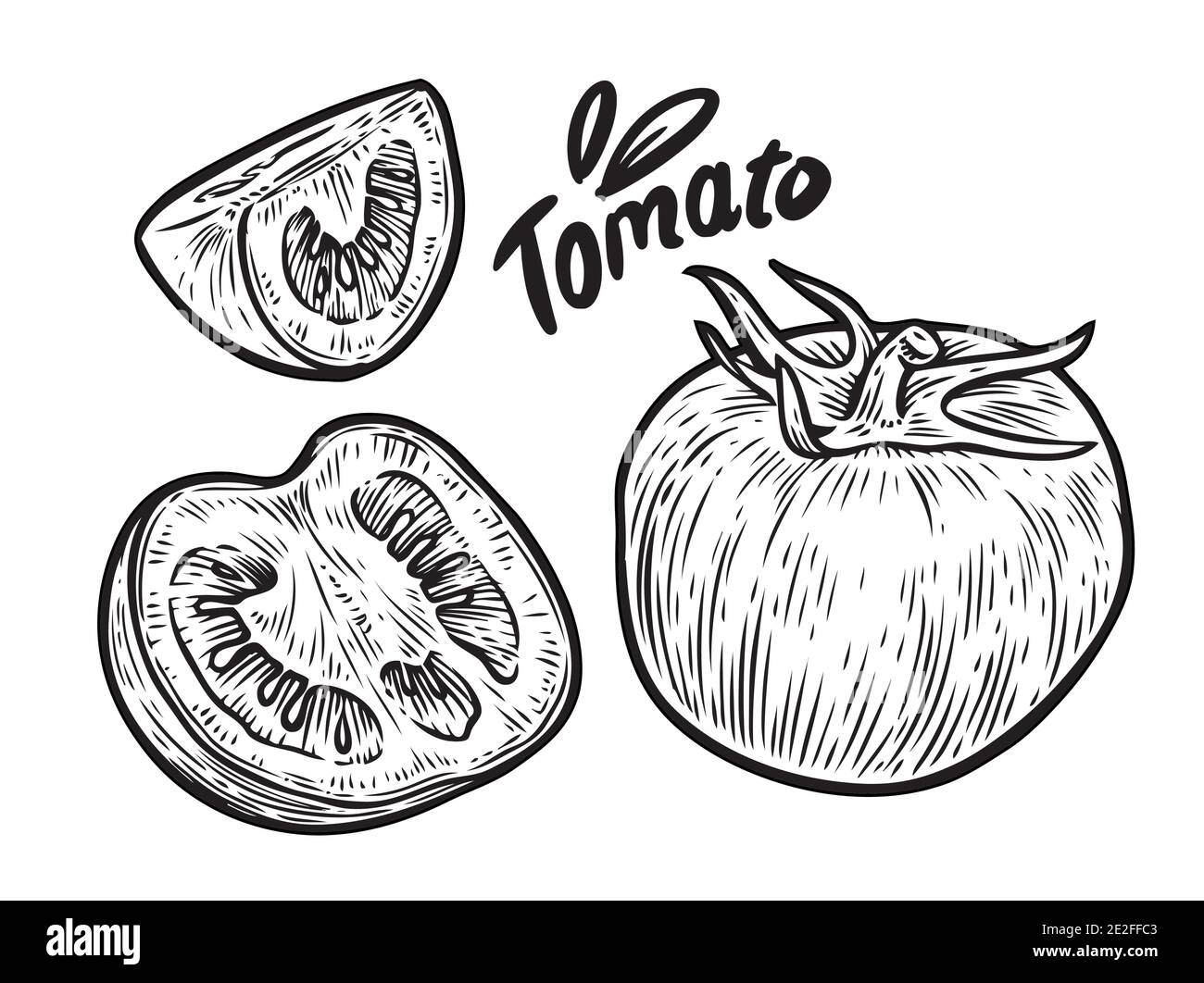 Tomate und in Scheiben schneiden. Vektorgrafik Gemüse Skizze Stock Vektor