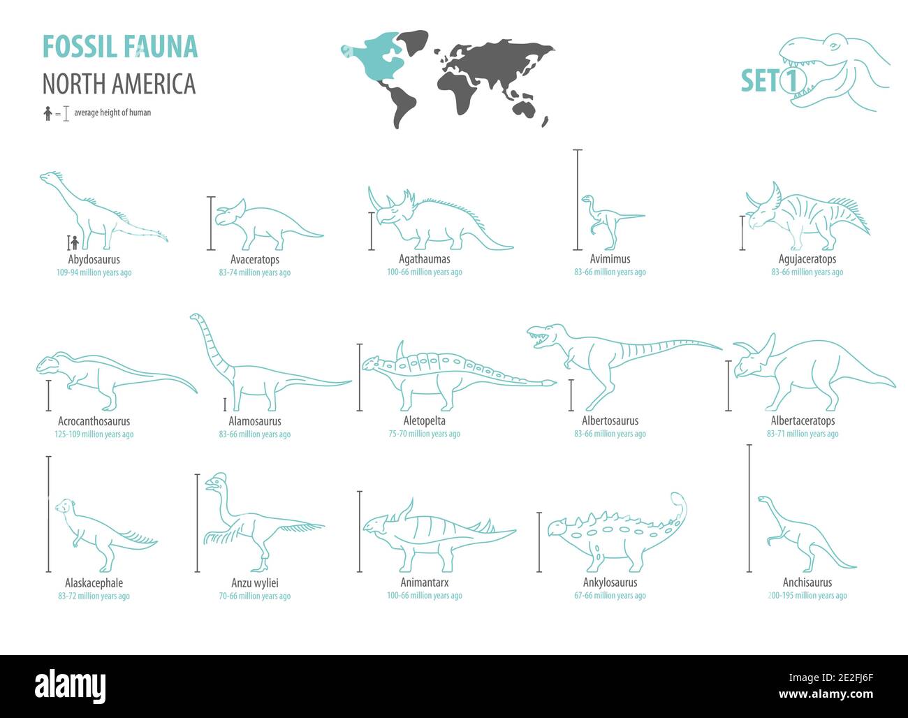Fossile Fauna Nordamerikas. Ausgestorbene Dinosaurier Kreidezeit, Jurassische Zeit. Einfacher Linienentwurf Vektor-Symbolsatz Stock Vektor
