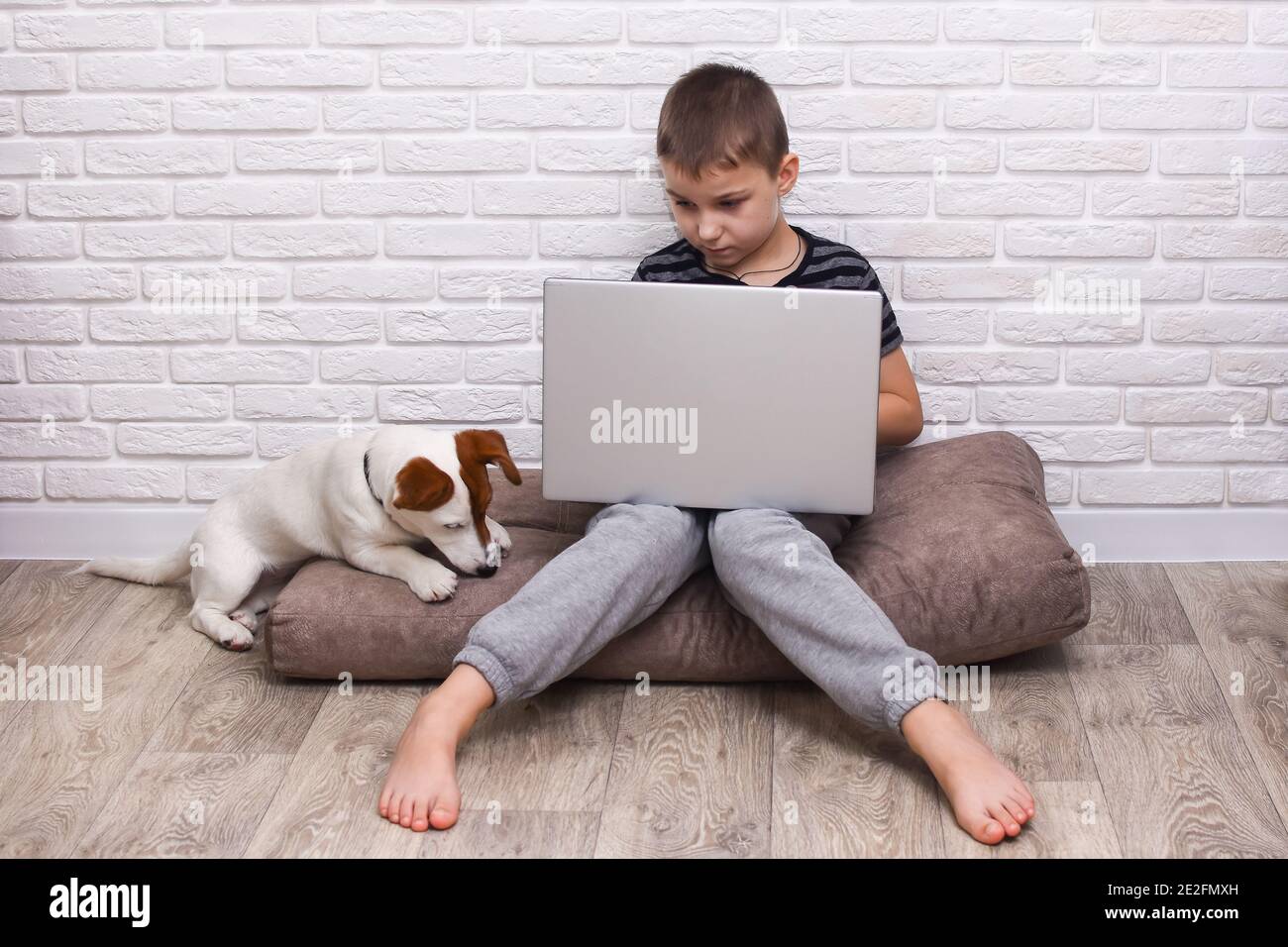Ein 6-7 Jahre alter Junge sitzt an einem Laptop. Ein Jack Russell Terrier Hund spielt in der Nähe. Gegen eine Ziegelwand. Stockfoto