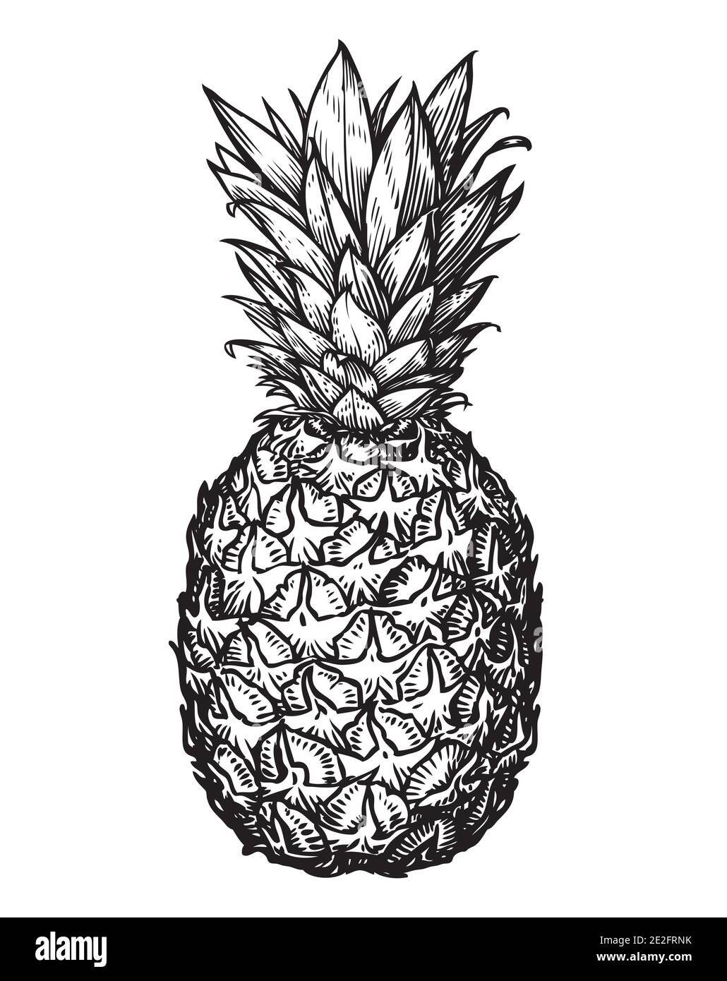 Ananas. Tropische Früchte isoliert auf weißem Hintergrund Stock Vektor