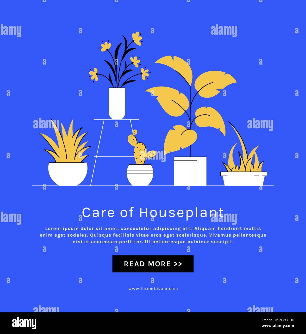 Hauspflanzenpflege Banner mit Platz für Text. Zimmerpflanzen in Töpfen. Vektor-Illustration im trendigen Stil. Stock Vektor
