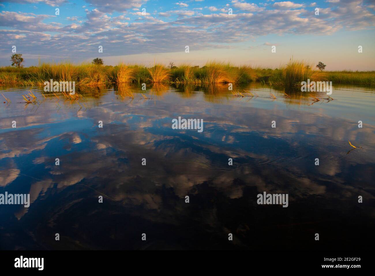 Fahren im Okavango Delta in der Überflutsaison... Stockfoto