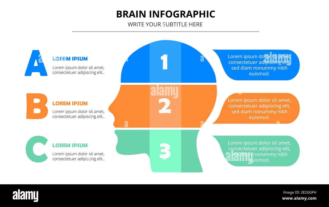 Bunte Gehirn Infografik Vorlage Stock Vektor