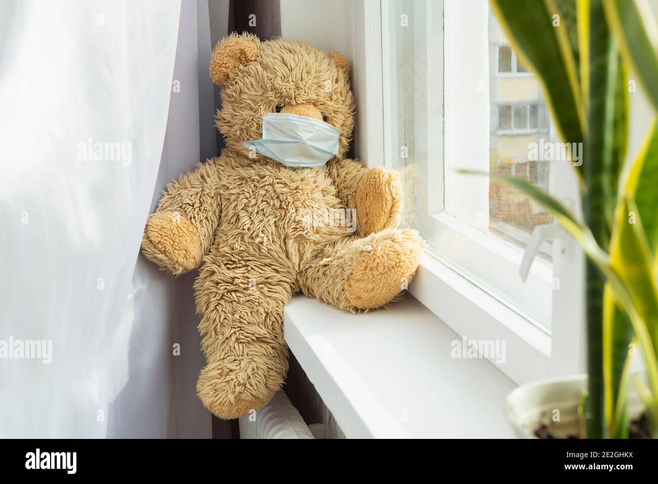 Niedlicher Teddybär in Schutzmaske auf Fensterbank Stockfoto