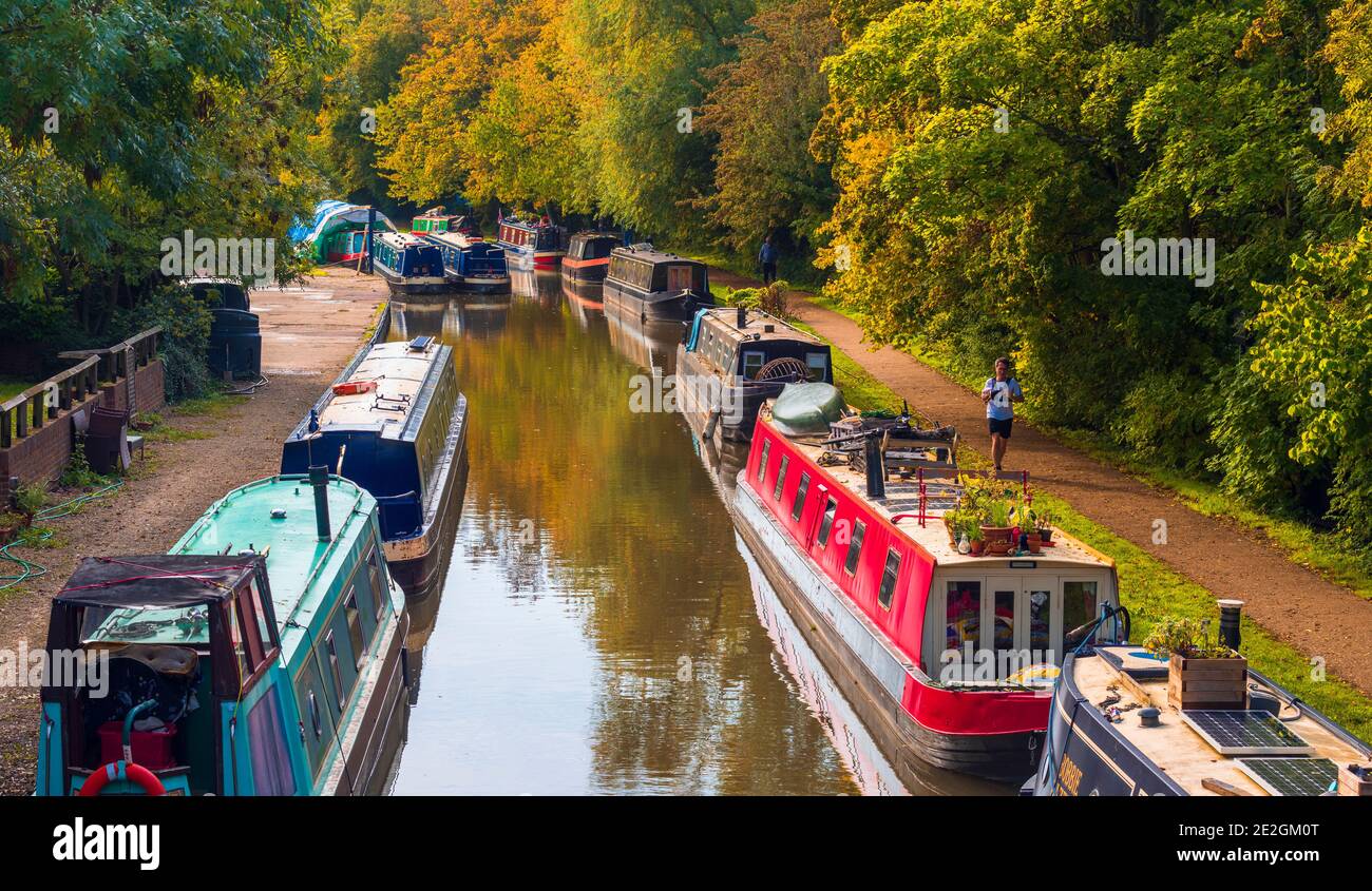 Bunte Schmalbboote vertäuten im Herbst entlang des Oxford-Kanals. Stockfoto