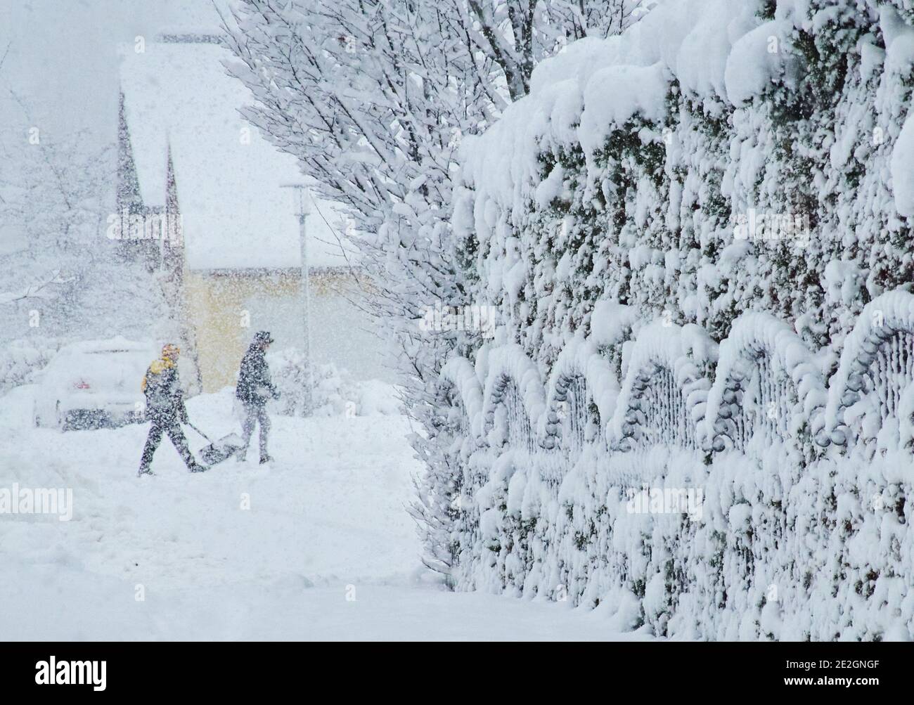 Marktoberdorf, Deutschland. Januar 2021. Wetterfeature: Winterbeginn mit 50cm Neuschnee, Wintereinbruch mit 50cm Neuschnee in Marktoberdorf, Bayern, Deutschland, 14. Januar 2021. Quelle: Peter Schatz/Alamy Live News Stockfoto
