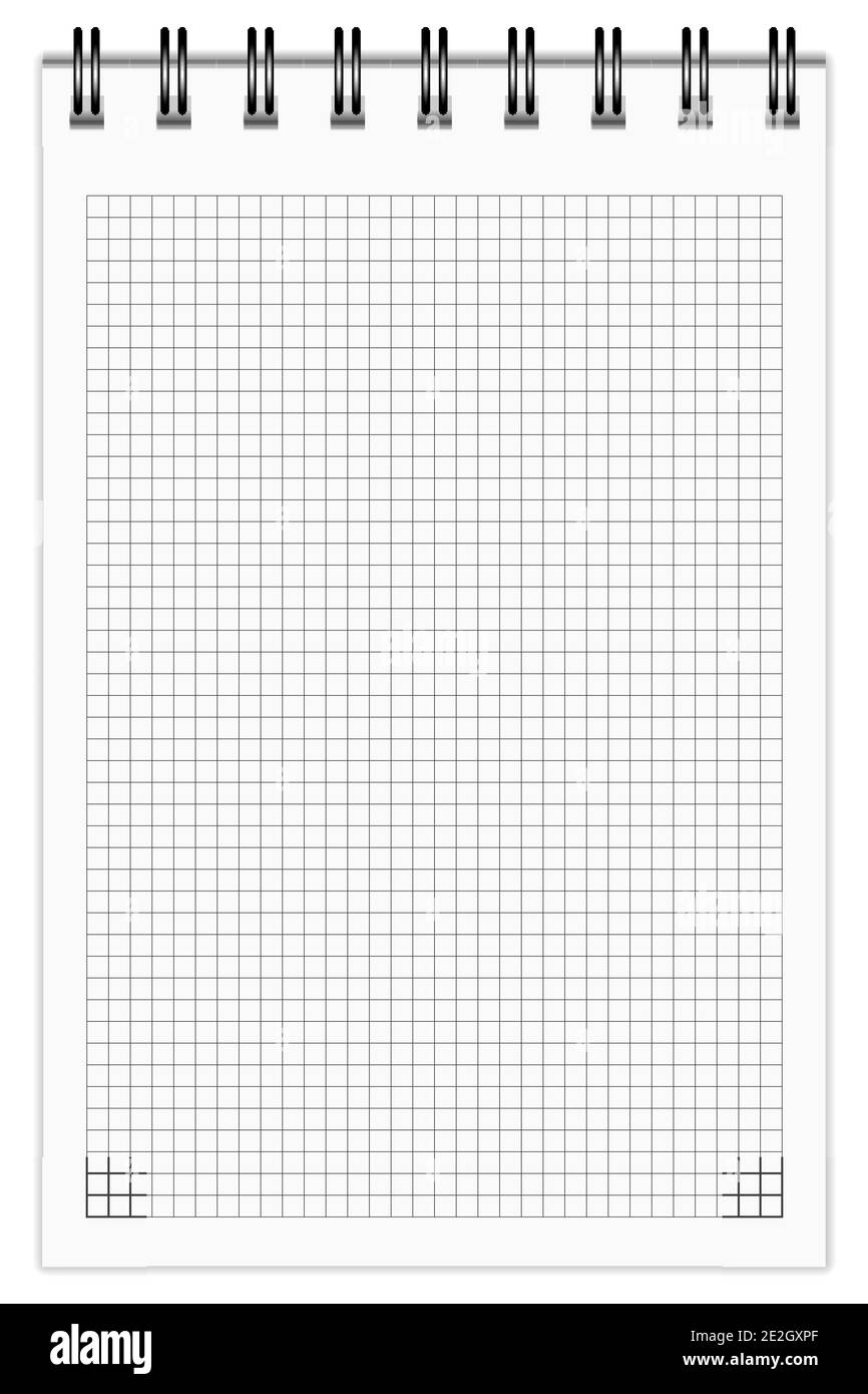 Kariertes Notizbuch Stock Vektor