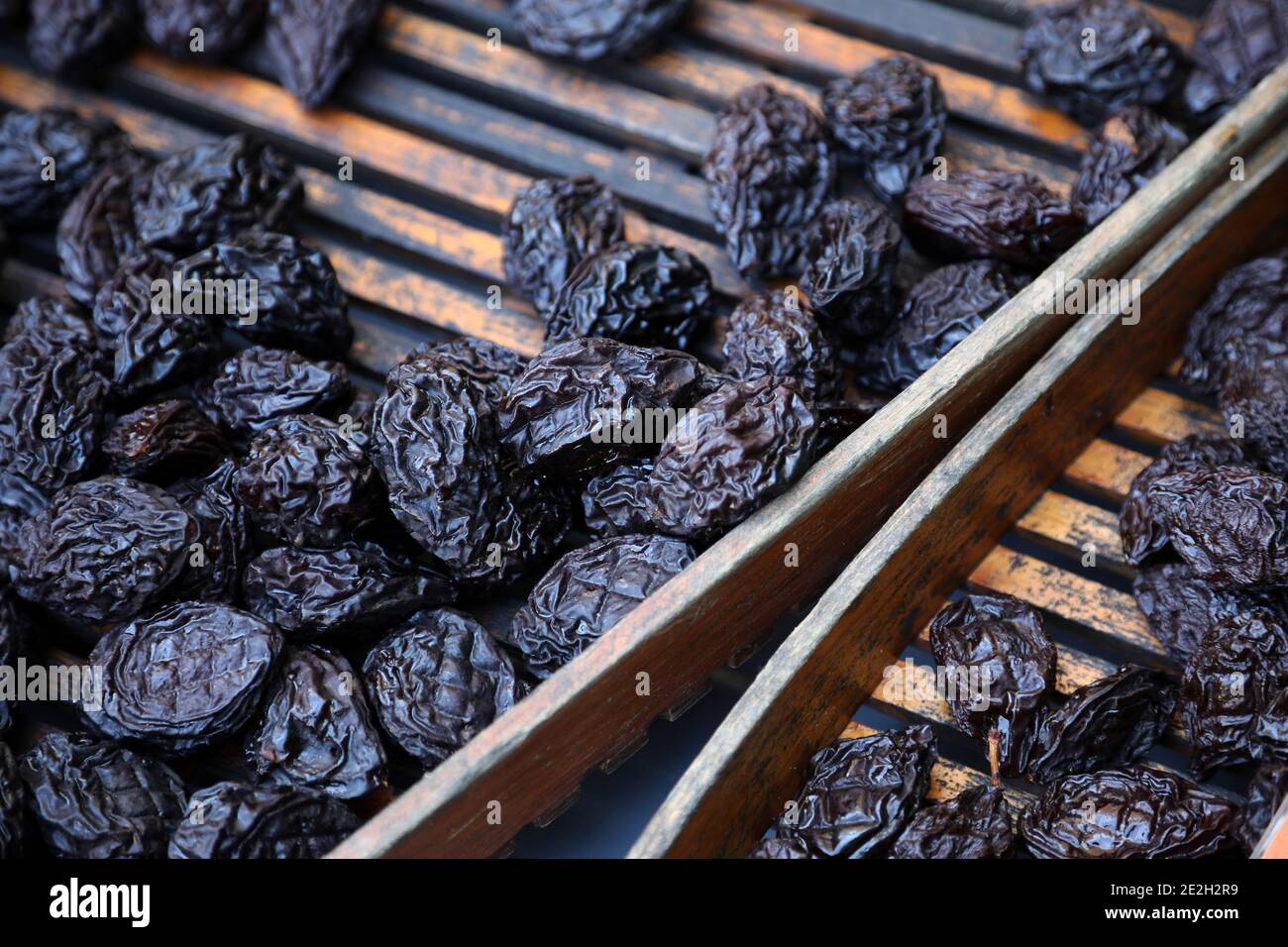 Agen-Pflaumen nach der Trocknungsstufe der Ente-Pflaumen, getrocknete Pflaumen „pruneaux d’Agen“, geschützte geografische Angabe, g.g.A. Stockfoto