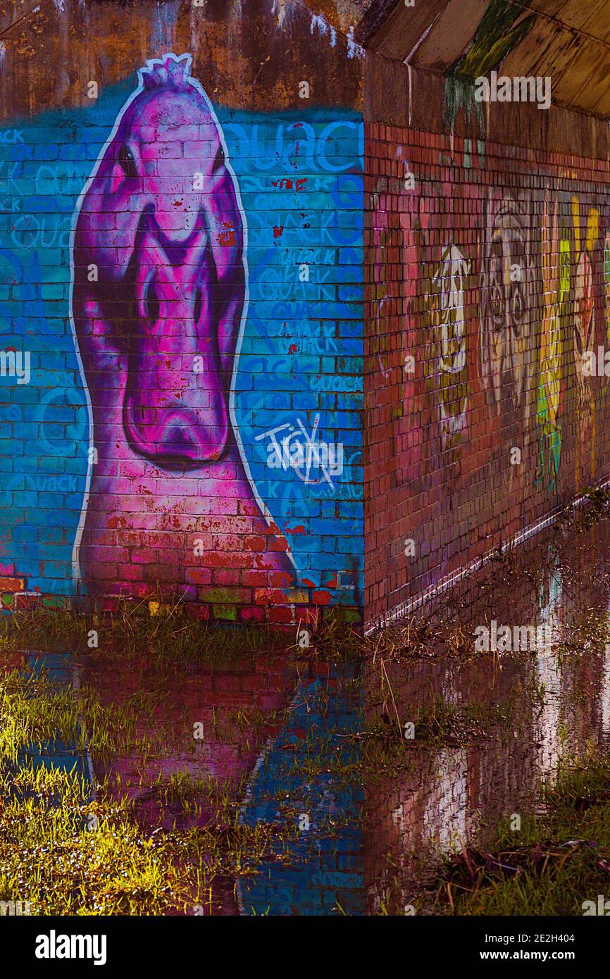 Grafische Straßenkunst in Gloucester Stockfoto