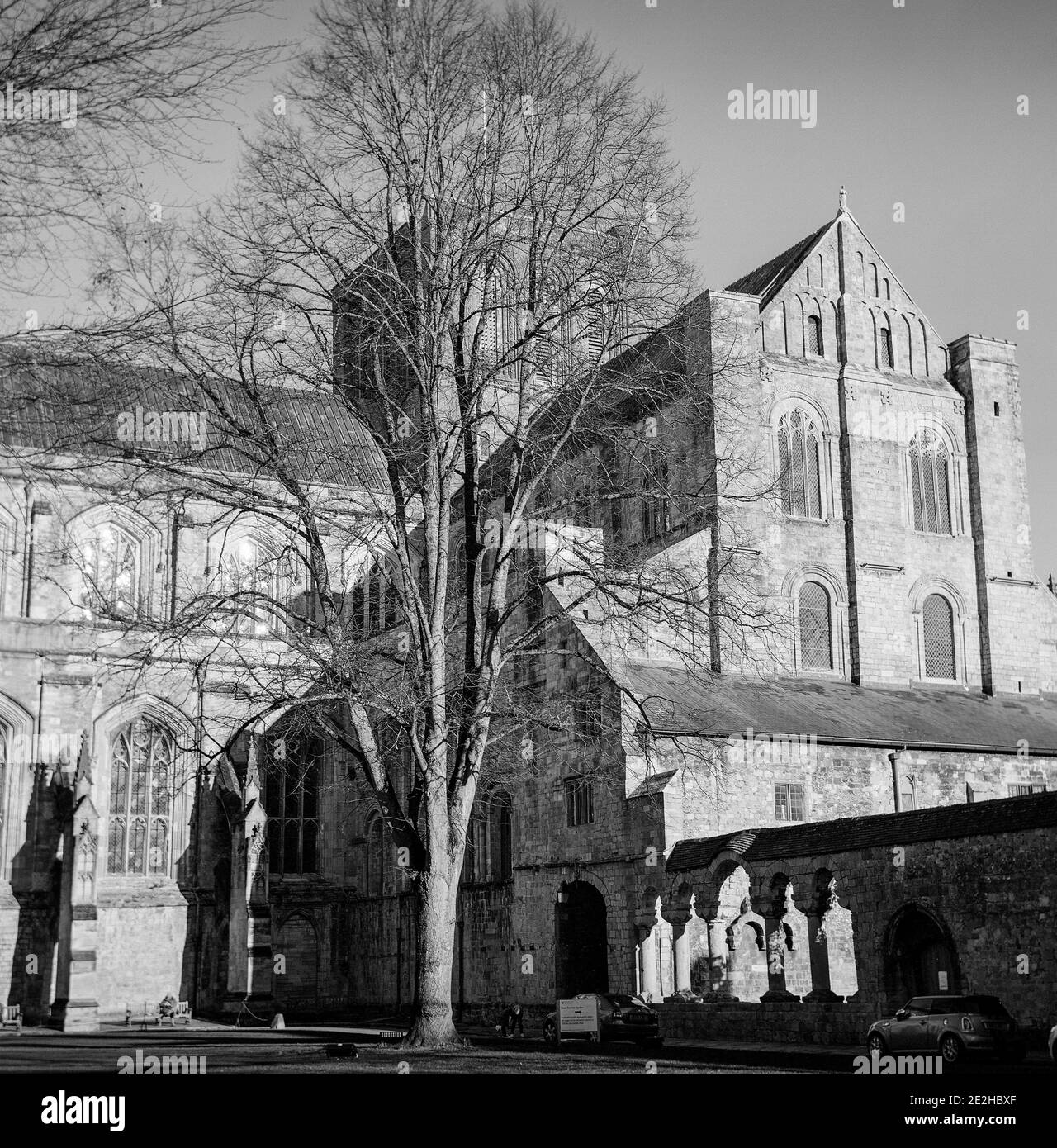 Winchester Cathedral, Winchester, Hampshire, England, Vereinigtes Königreich. Stockfoto