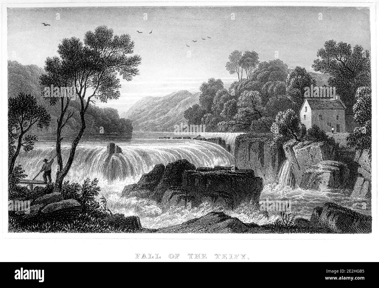 Ein Stich des Sturzes der Teify (Cenarth Falls), der in hoher Auflösung von einem Buch aus dem Jahr 1854 gescannt wurde. Für urheberrechtlich frei gehalten. Stockfoto