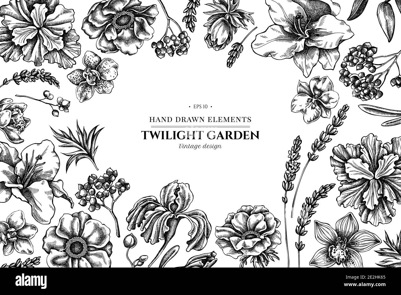 Florales Design mit schwarzer und weißer Anemone, Lavendel, Rosmarin Everlasting, Phalaenopsis, Lilie, Iris Stock Vektor