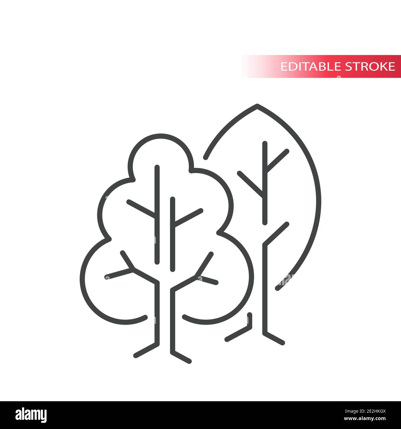 Vektor-Symbole für dünne Linien des Baums. Natur, Wald Bäume umreißen Symbol, editierbare Kontur. Stock Vektor