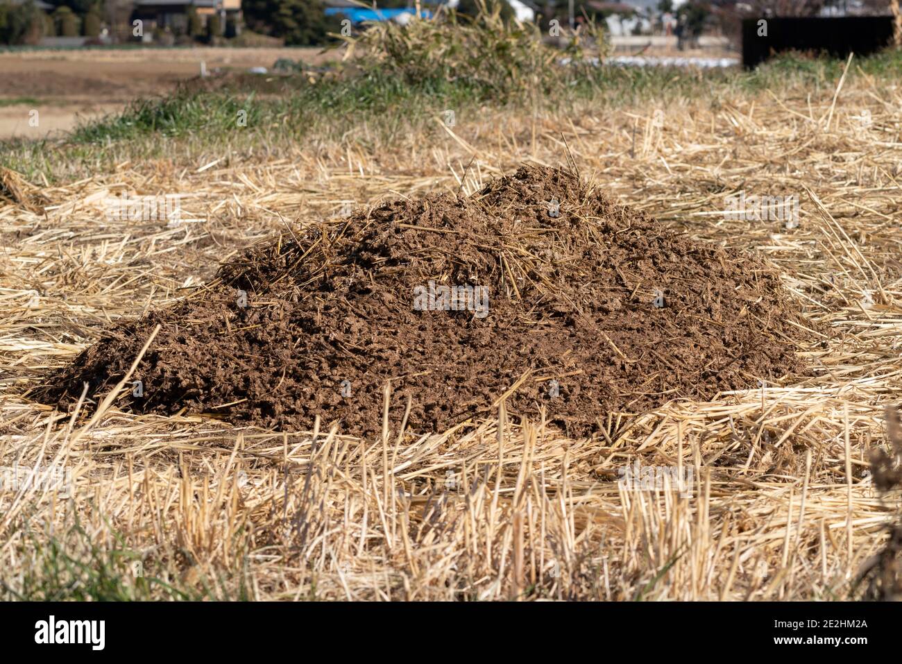 Komposthügel auf dem landwirtschaftlichen Feld, Stadt Isehara, Präfektur Kanagawa, Japan Stockfoto