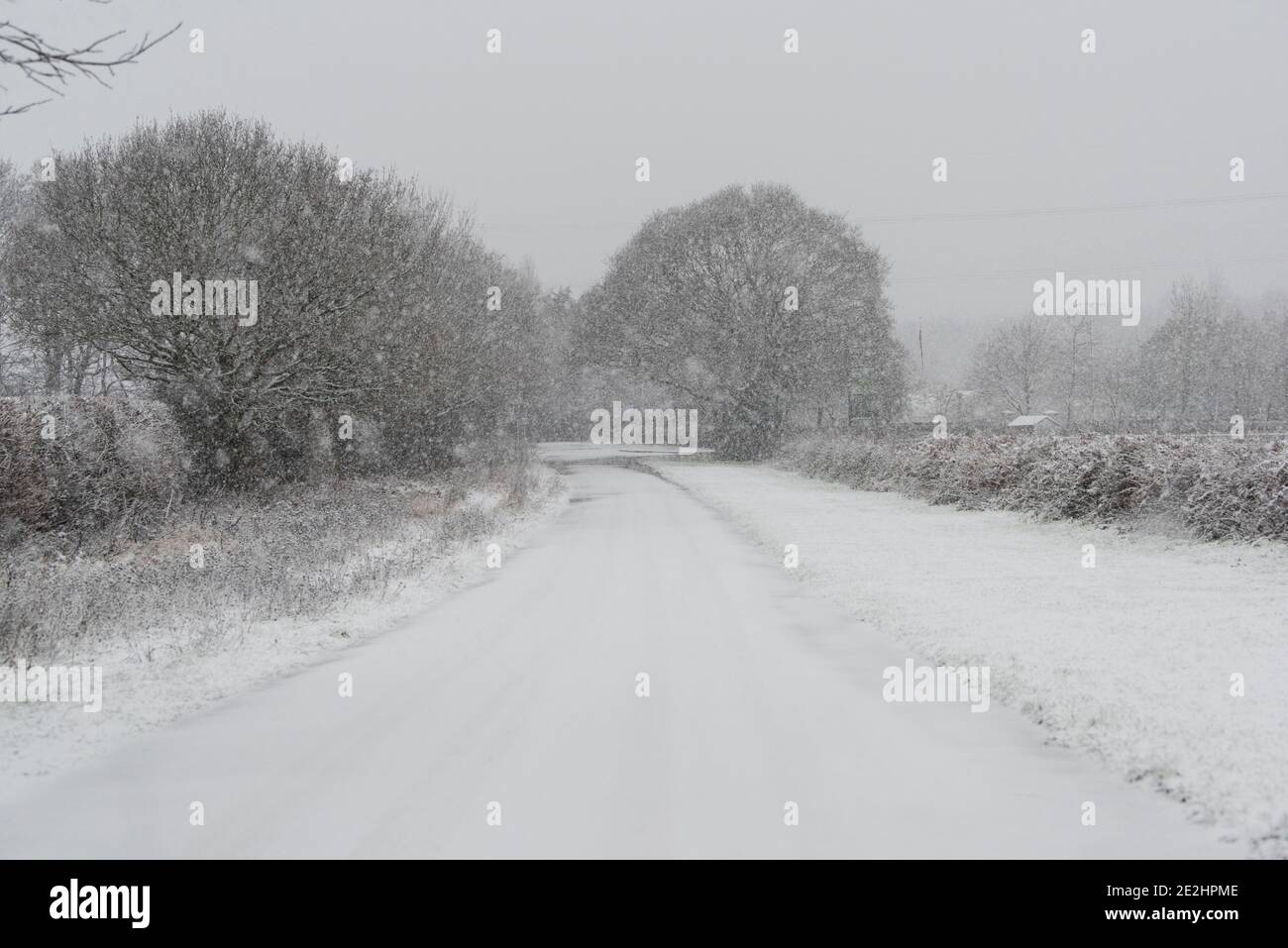 UK Wetter: Doncaster, South Yorkshire - 14 Januar 2021 - Schnee fällt auf Hayfield Lane, Hayfield, Doncaster. Kredit: Michael Jamison/Alamy Live Nachrichten Stockfoto