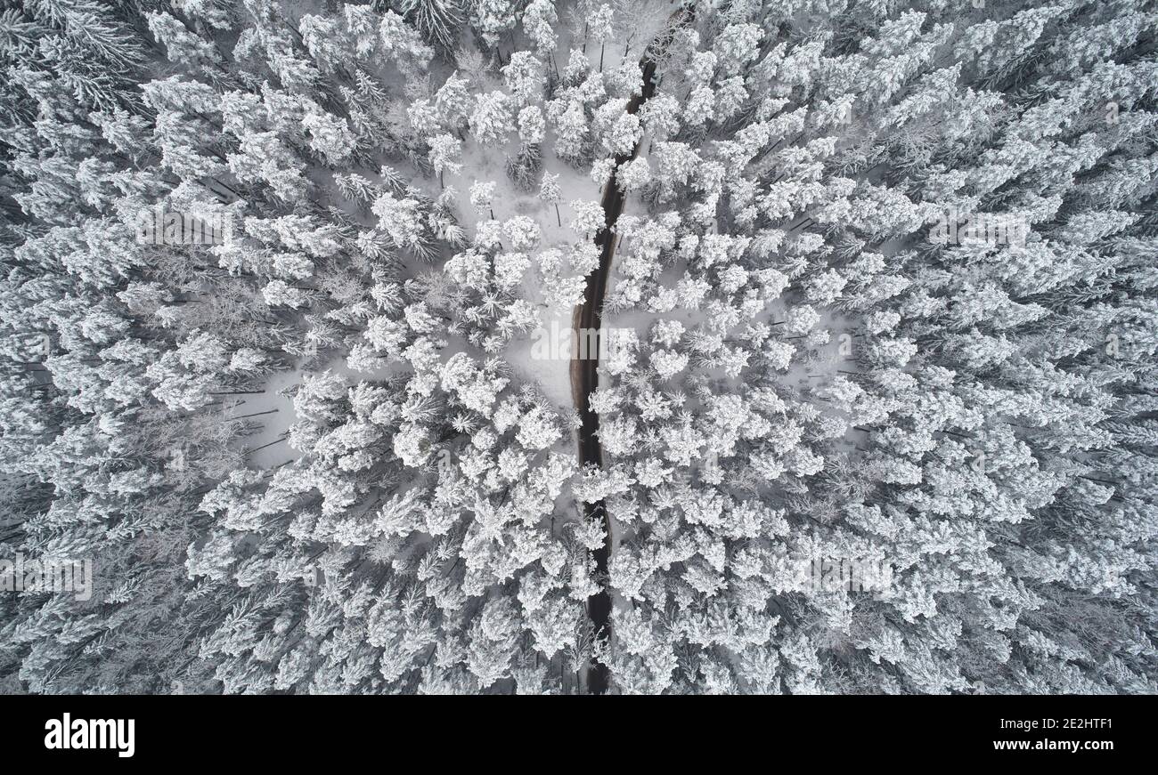 Gefrorene Straße im weißen Winterwald Hintergrund über oben Drohne Anzeigen Stockfoto