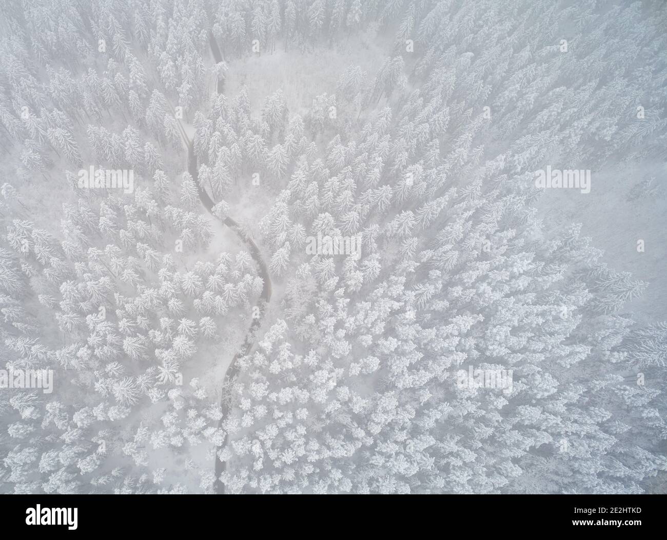 Verschneite Winter Wald natürlichen Hintergrund Luftdrohne Draufsicht Stockfoto