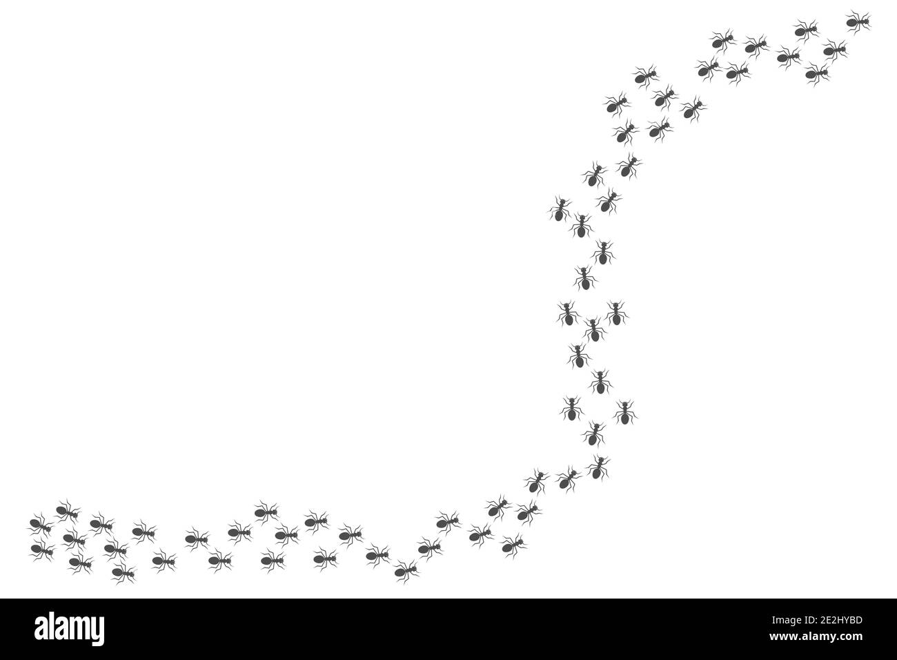 ANT Trail. Marching oder Marching Ant Trail, flacher Stil Stock Vektor
