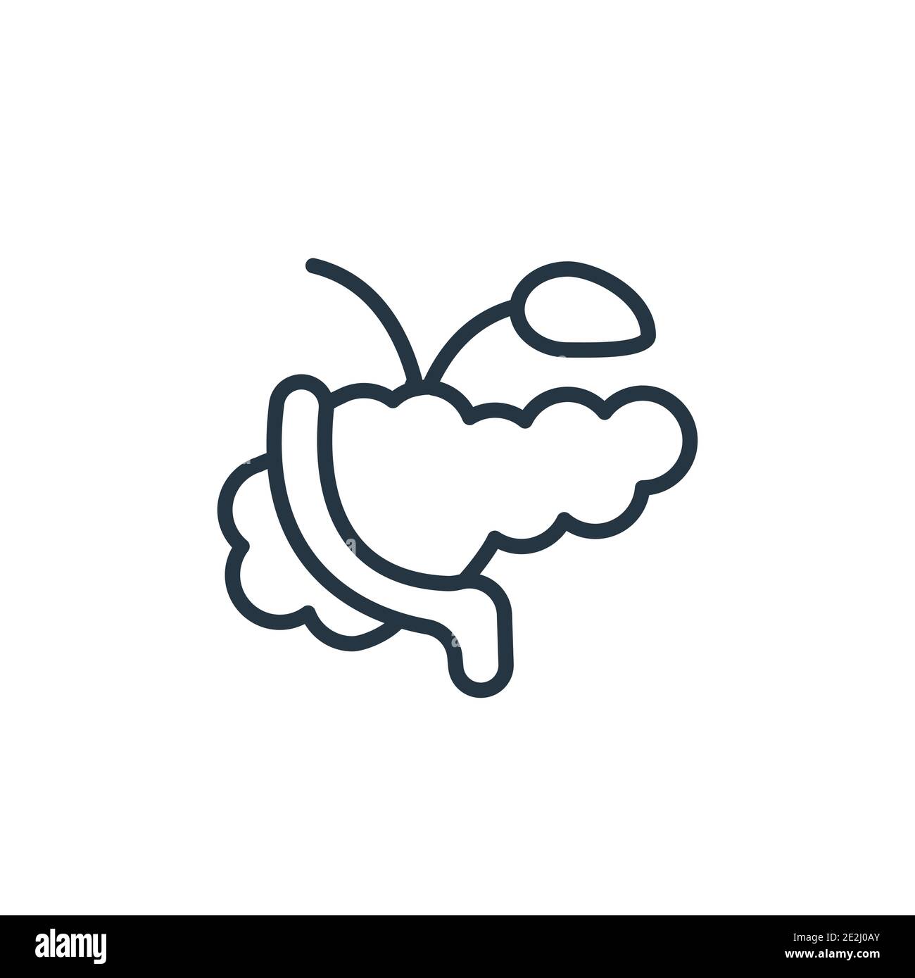 Symbol für Pankreas-Umriss-Vektor Dünne Linie schwarzes Pankreas-Symbol, flacher Vektor einfache Elementdarstellung aus editierbarem medizinischem Konzept isoliert auf weißem b Stock Vektor