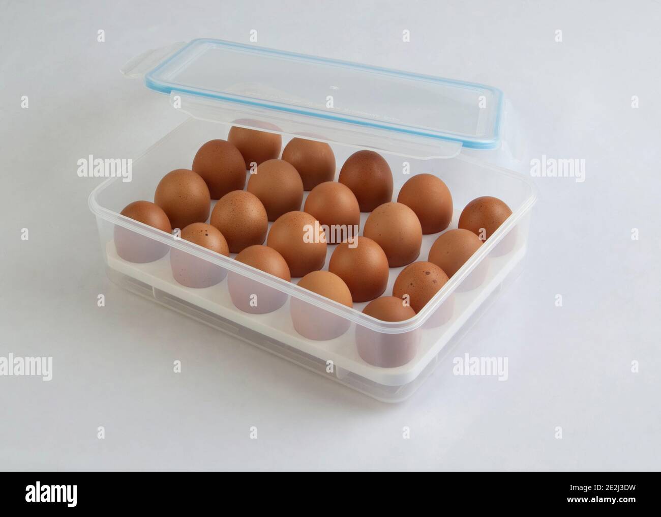 Eier in Kunststoffverpackung isoliert auf weißem Hintergrund Stockfoto