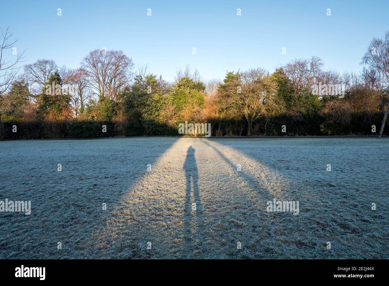 Schatten einer Person, die im Park steht. Glasgow, Schottland Stockfoto