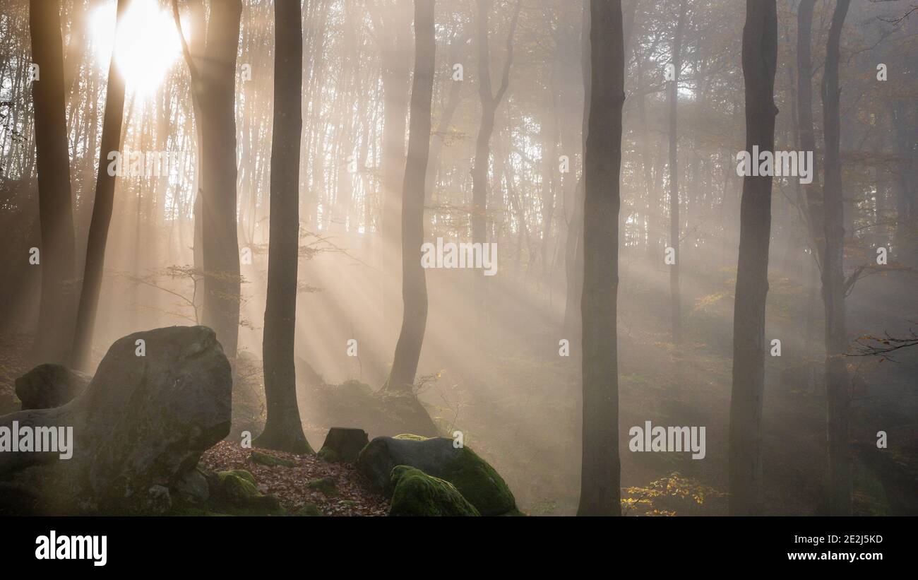 Echternach Luxembourg Stockfotos Und Bilder Kaufen Alamy