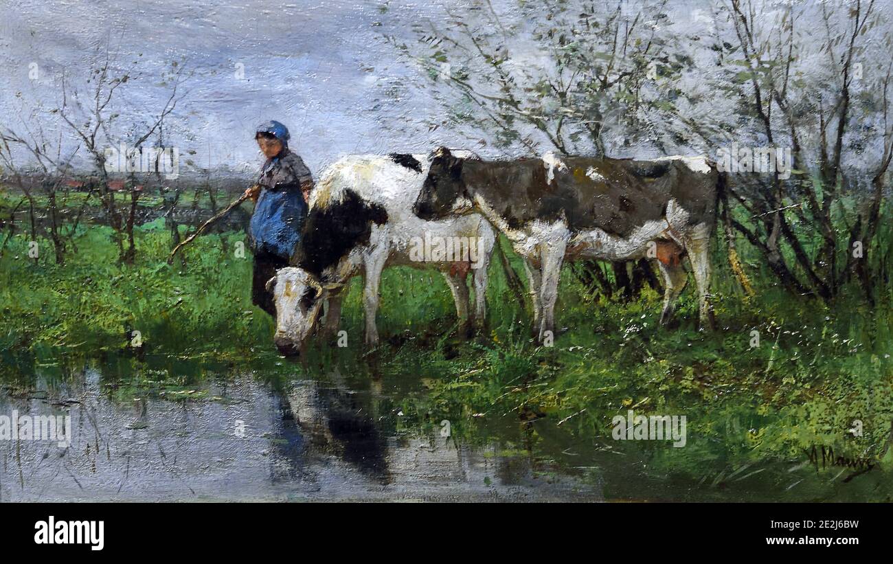 The Cowherd 1875-1880, von Anton Mauve 1838 - 1888 Niederländisch, Niederlande Stockfoto