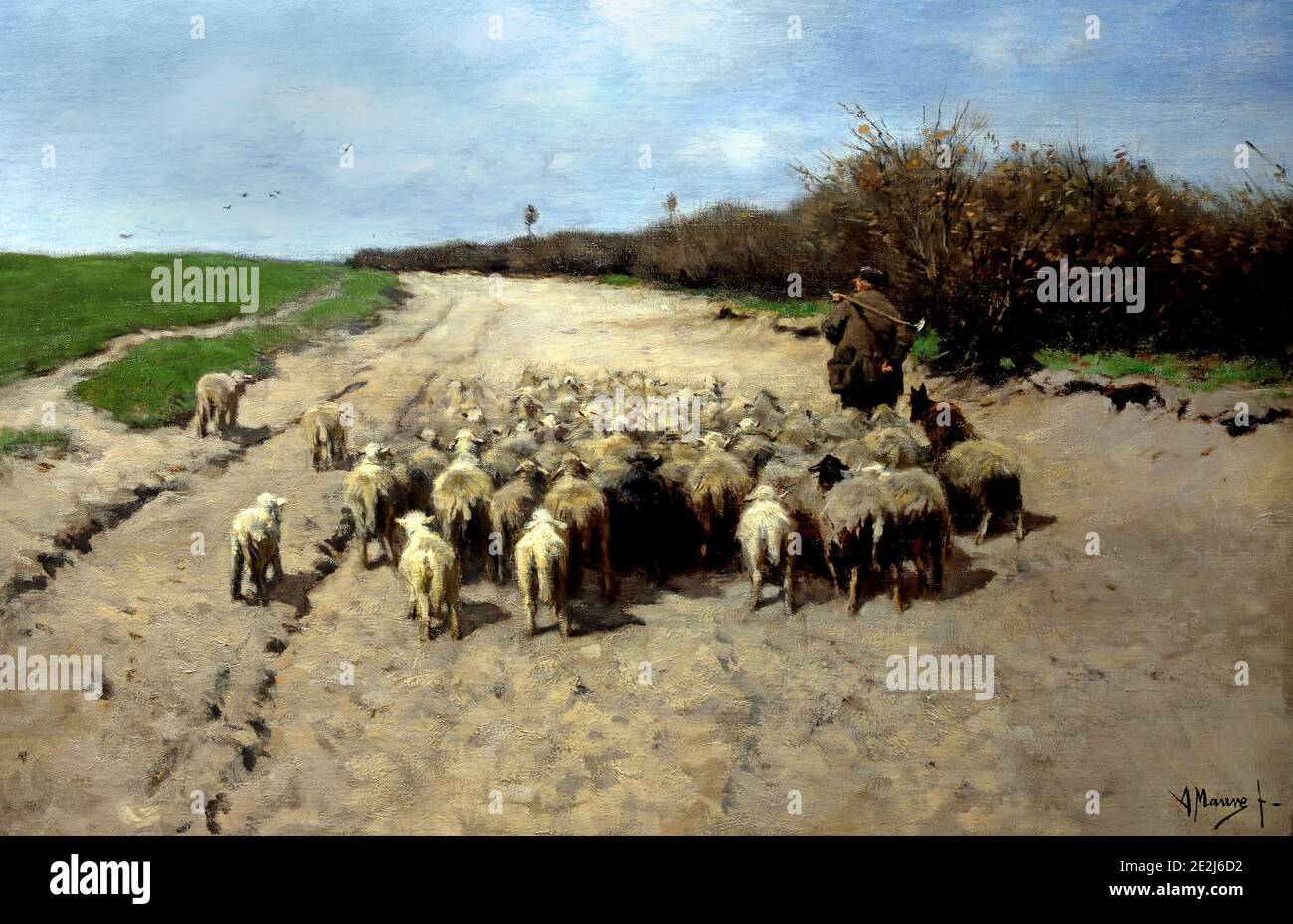 Rückkehr der Herde 1860 von Anton Mauve, Niederländisch, Niederlande 1838 - 1888 Stockfoto