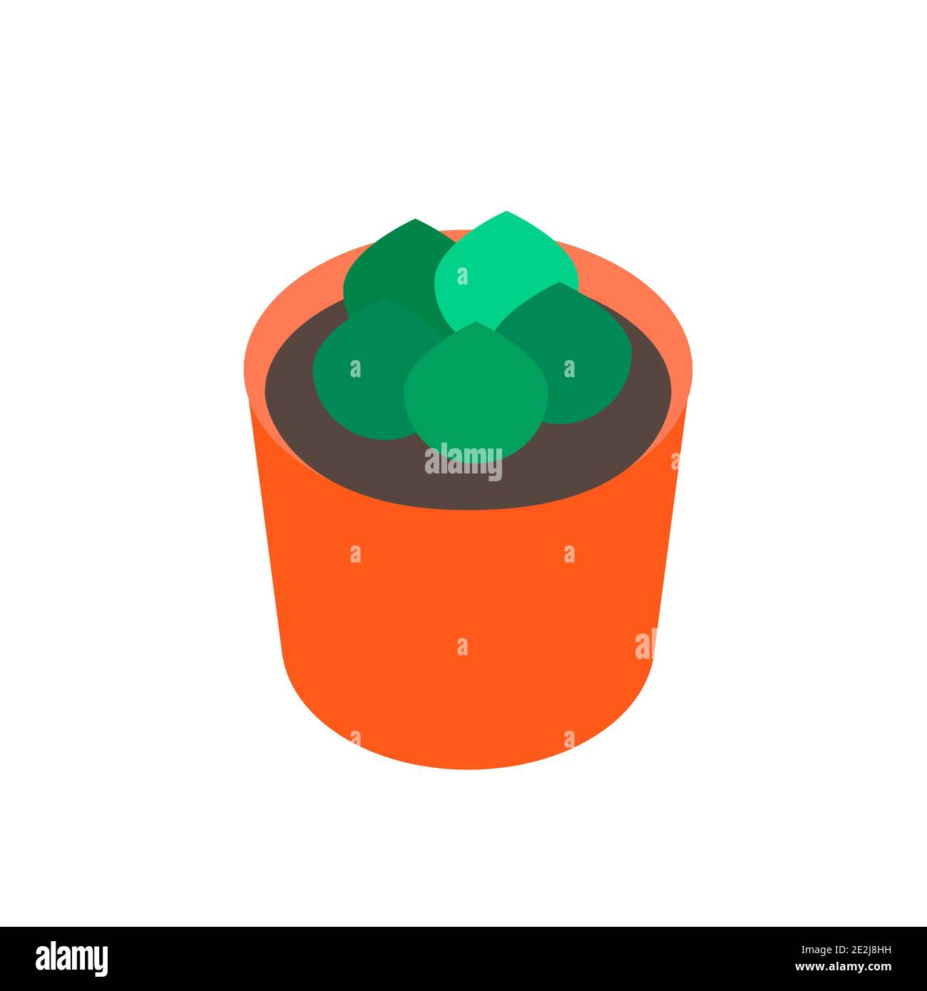 Zimmerpflanze im Topf Vektor-Abbildung eps. 10 Stock Vektor