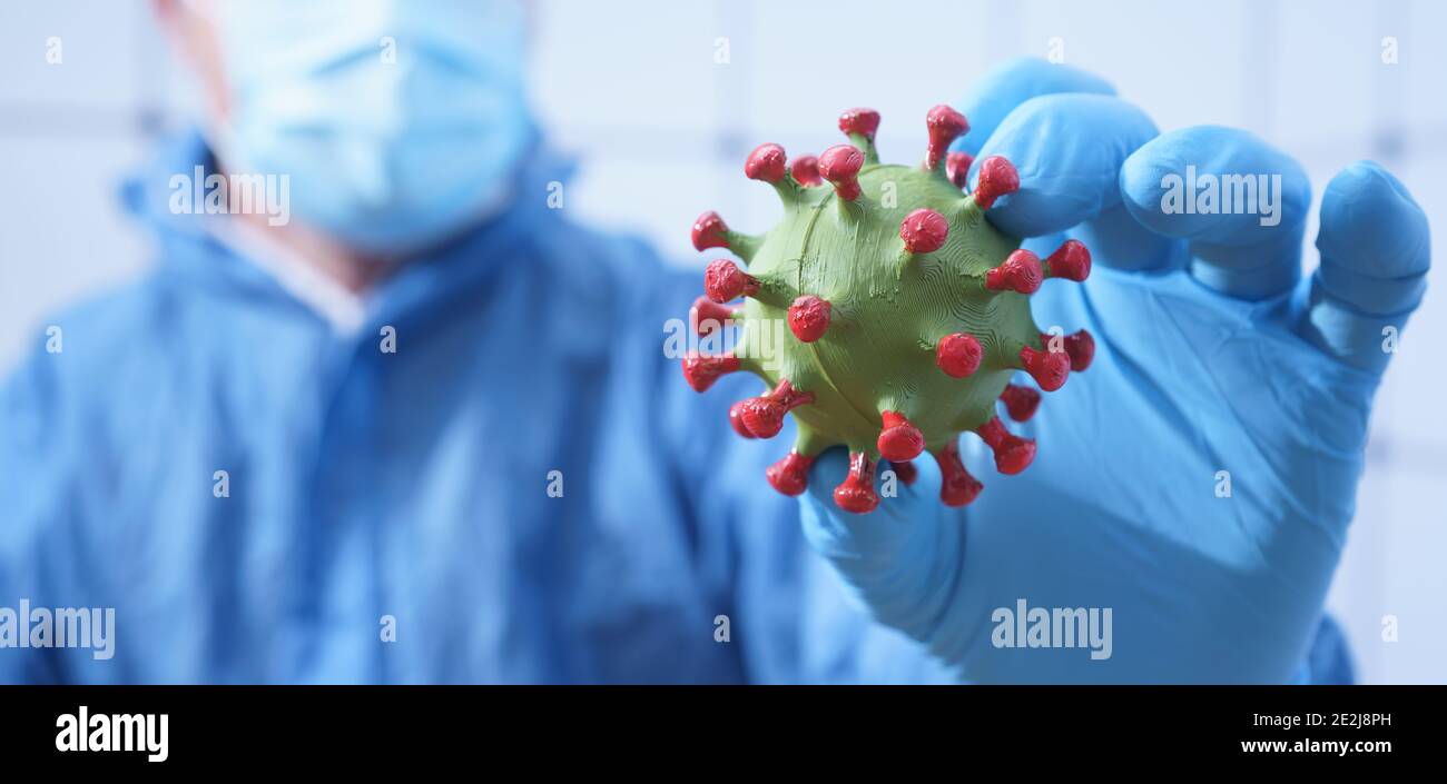 Coronavirus in der Hand des Arztes. Virales Infektionskonzept. Wissenschaftler, der ein Coronavirus in einem Forschungslabor hält Stockfoto