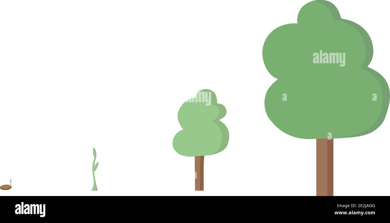 Vier Stufen des Baumes, der von ceed zu großem Baum in Vektor gemacht wird. Umweltfreundliches Konzept. Stock Vektor
