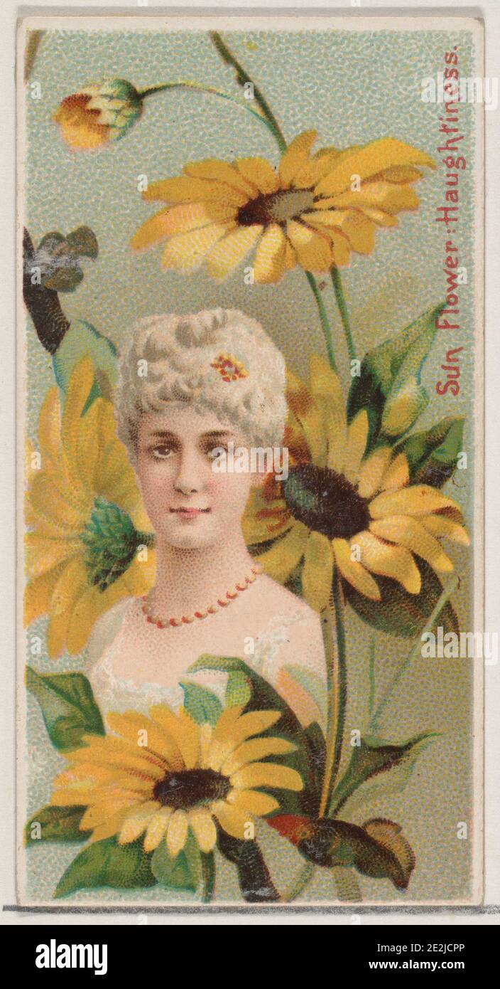 Sonnenblume: Hochmut, aus der Serie Floral Beauties and Language of Flowers (N75) für Duke Brand Cigarettes, 1892. Stockfoto