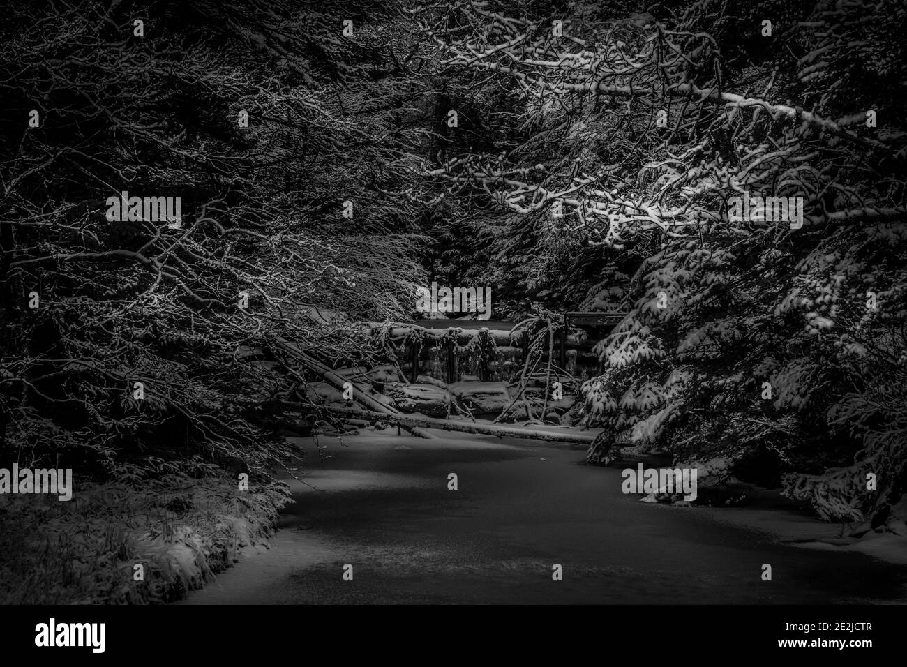 Gefrorener Tag Stockfoto