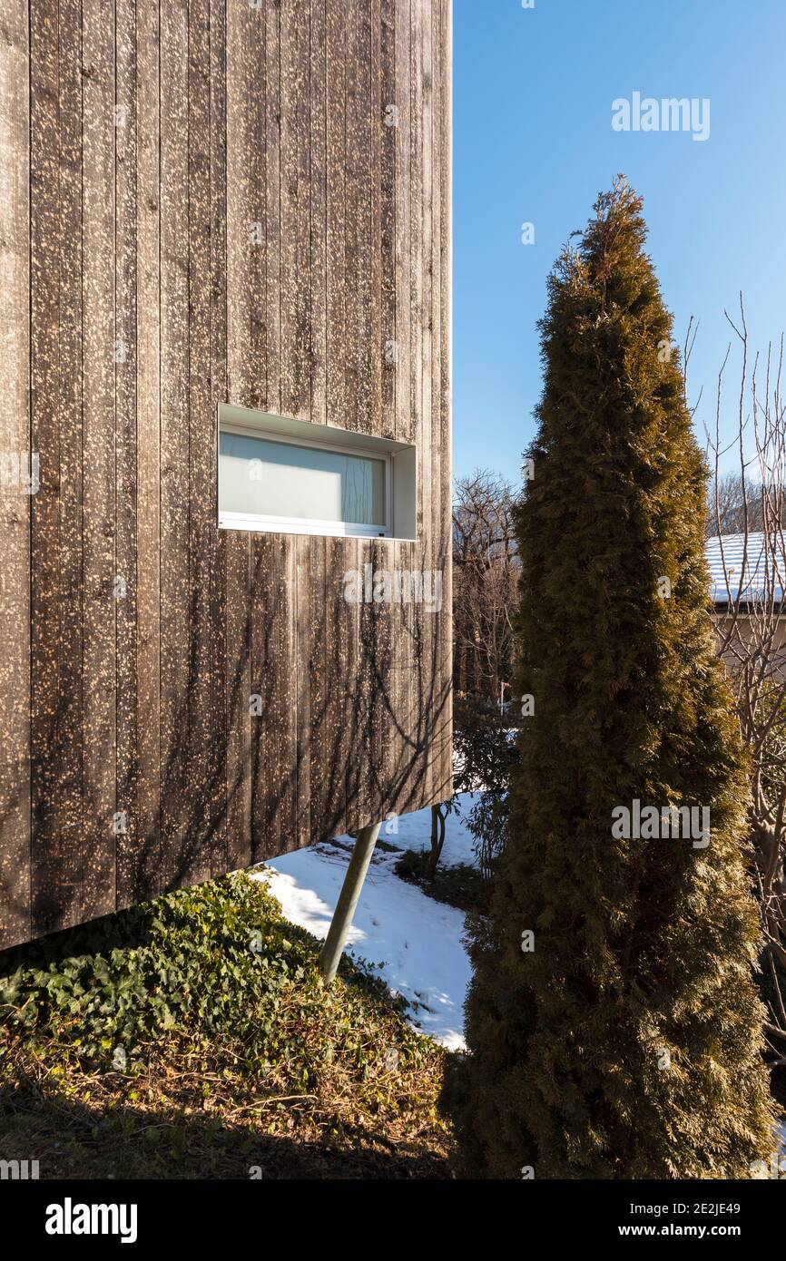 Detail des modernen Holzhauses mit einem Fenster und einem Baum an seiner Seite Stockfoto
