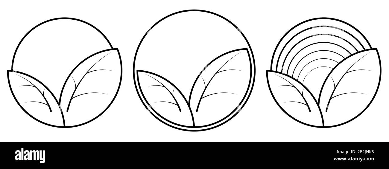 Set Teeblätter Symbole in Runde. Design-Element für Teeverpackungen. Isolierter minimalistischer Vektor im linearen Stil Stock Vektor