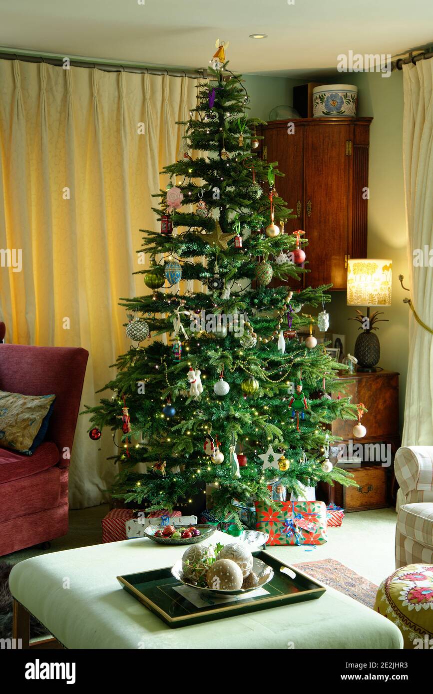 Ein Weihnachtsbaum in einem britischen Wohnzimmer. Stockfoto