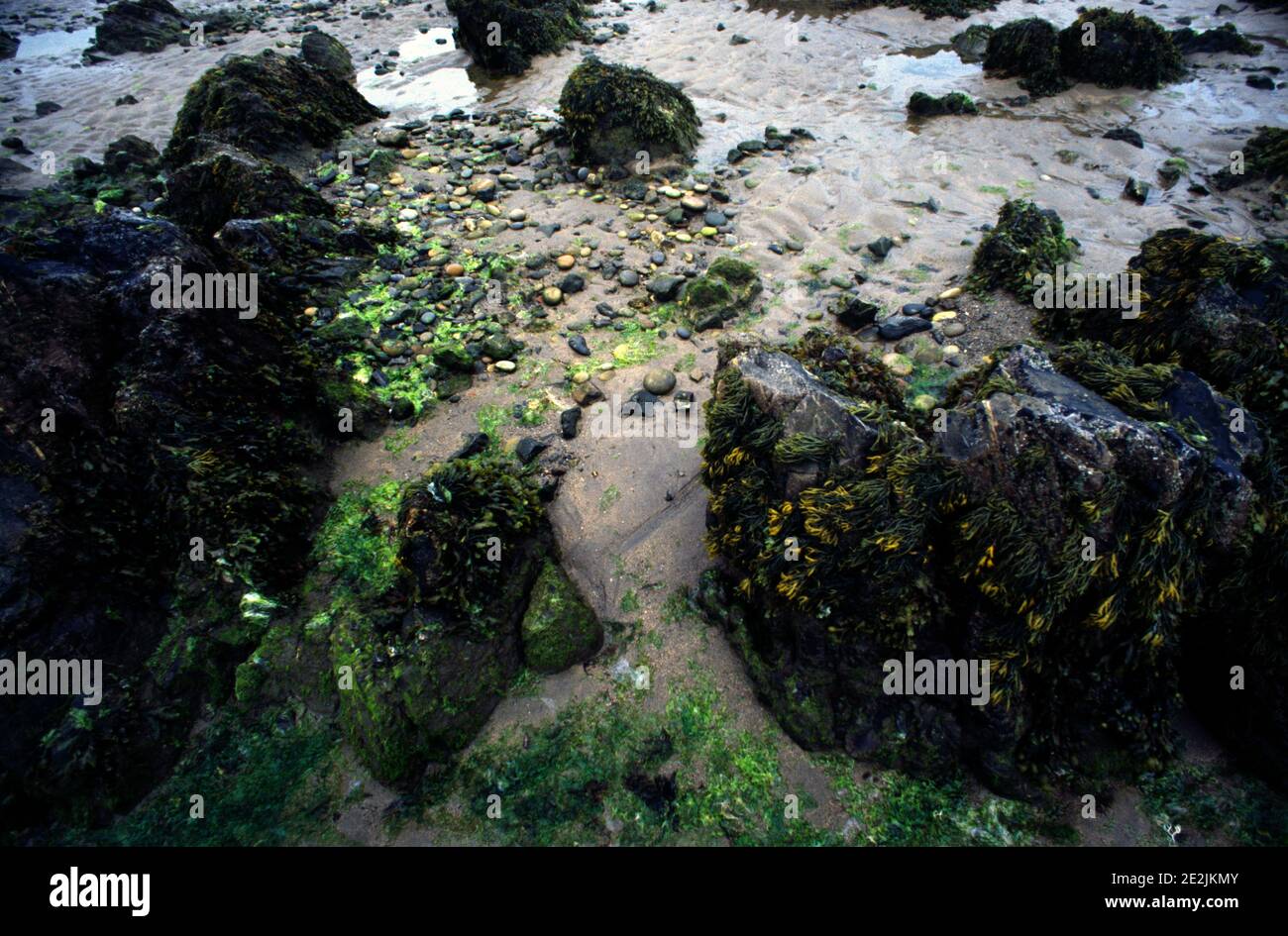 Asturias Spanien Rock Pools Stockfoto