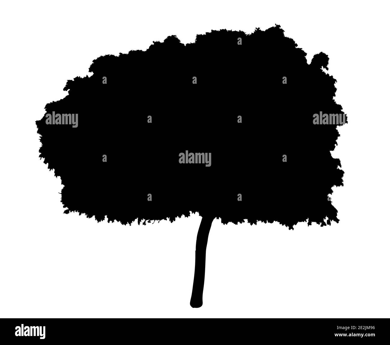 Young Tree Silhouette Stock Vektor