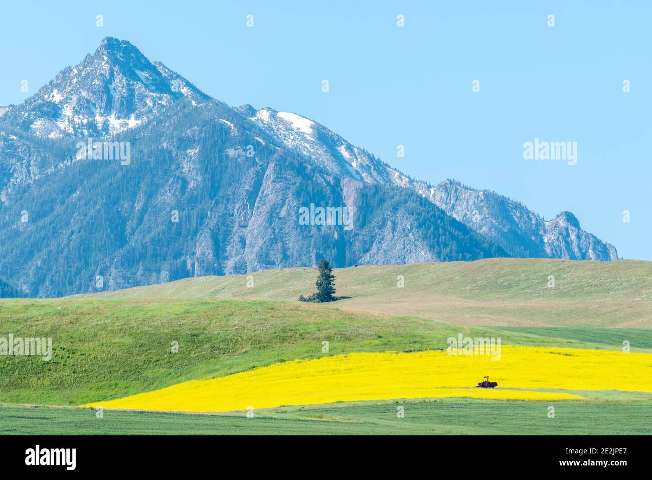 Farm auf dem Wallowa Lake Moraine, Wallowa County, Oregon. Stockfoto